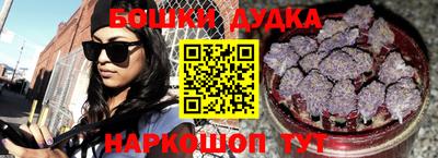 крисы Партизанск