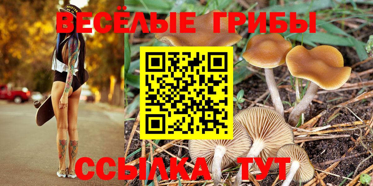 Галлюциногенные грибы GOLDEN TEACHER Семилуки